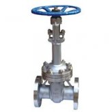 <b>API低温闸阀/低温法兰闸阀</b>